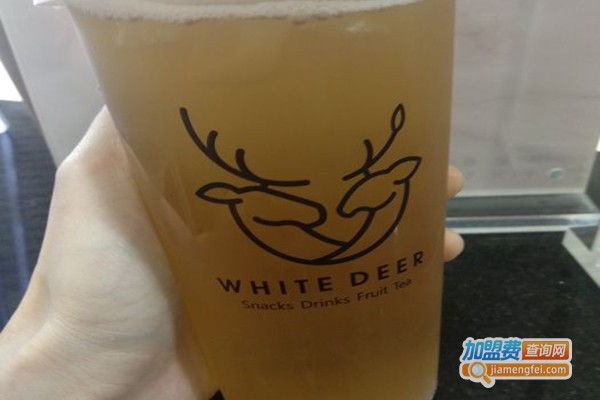白鹿梦加盟费