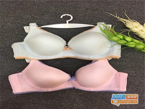 孕唯美内衣加盟门店