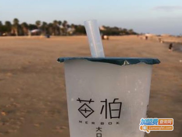 苗柏加盟费