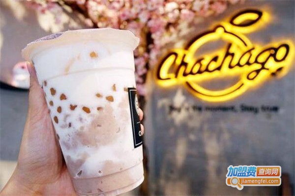 茶茶go加盟费