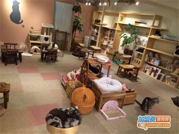 萌季猫咪咖啡馆加盟门店