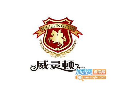 威灵顿国际英语加盟电话