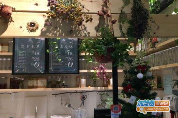 十一茶屋加盟费