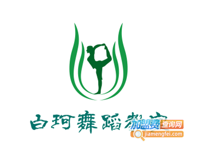 白珂舞蹈教室加盟费