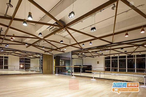 彩灵舞蹈学校加盟门店