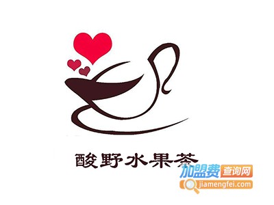 酸野水果加盟费