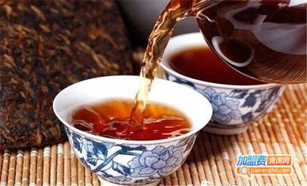 浓茶加盟费