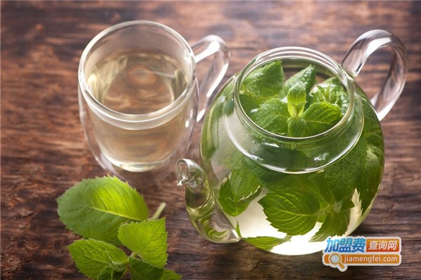 茉里茶加盟费