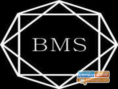 BMS宝玛仕家居加盟