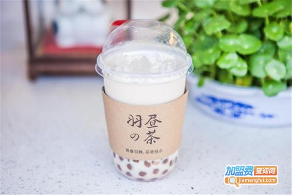 羽昼的茶加盟费