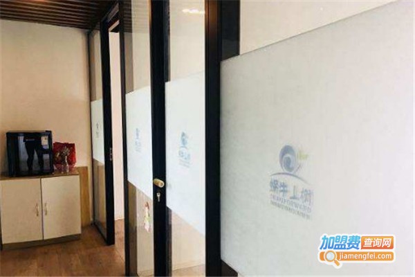 蜗牛上树国际教育