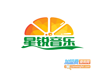星锐音乐加盟费
