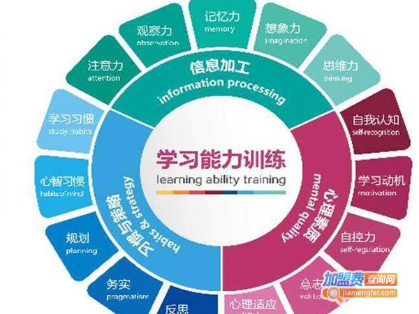 狮子王辛巴学习能力训练中心加盟费