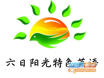 六日阳光特色英语加盟电话