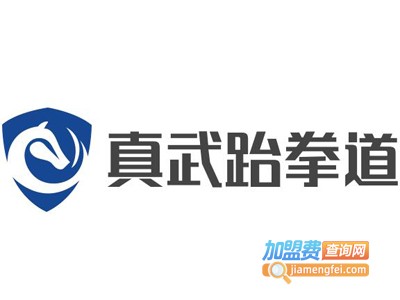 真武跆拳道加盟费