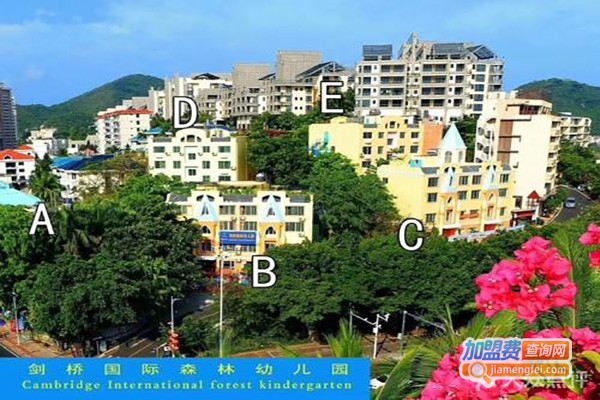 剑桥之星幼儿园加盟费
