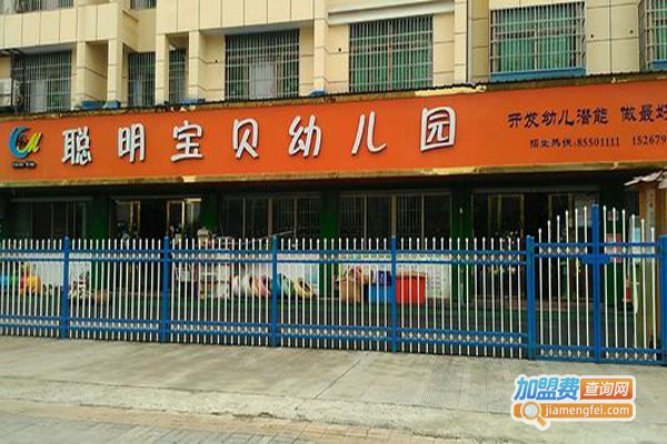 聪明宝贝幼儿园加盟费