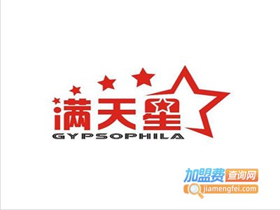 满天星教育加盟费