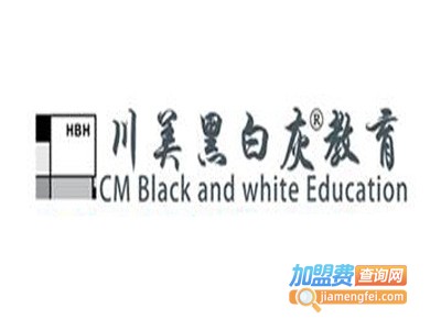 川美黑白灰美术教育加盟费