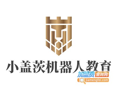 小盖茨机器人教育加盟费