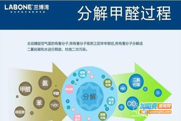 兰博湾生物除甲醛加盟门店