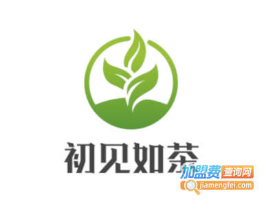 初见如茶加盟电话