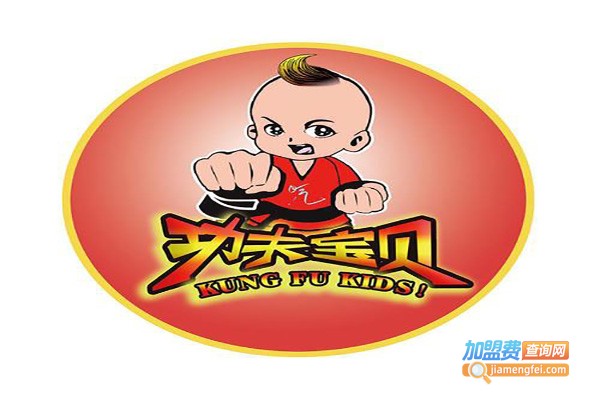 功夫宝贝培训
