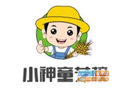 小神童艺校加盟费