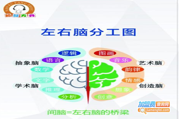 脑酷方舟全脑开发加盟费
