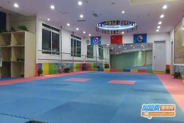 正格武道馆加盟费