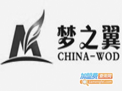 梦之翼记忆开发加盟