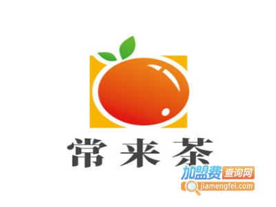 常来茶加盟电话
