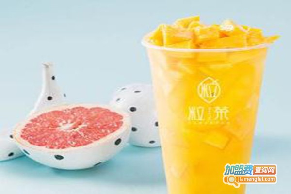 茶潮饮品加盟费