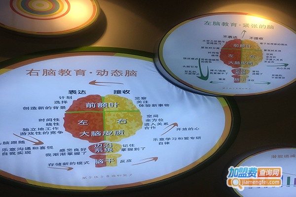 睿爱全脑潜能加盟费