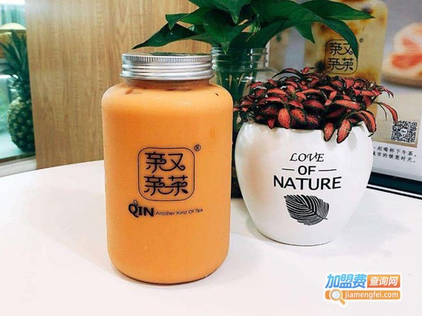 亲茶加盟费