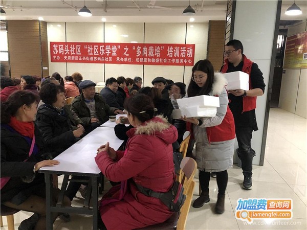 乐知学堂加盟