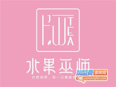 水果巫师加盟费