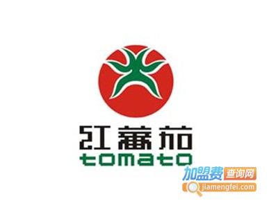红番茄美术加盟费