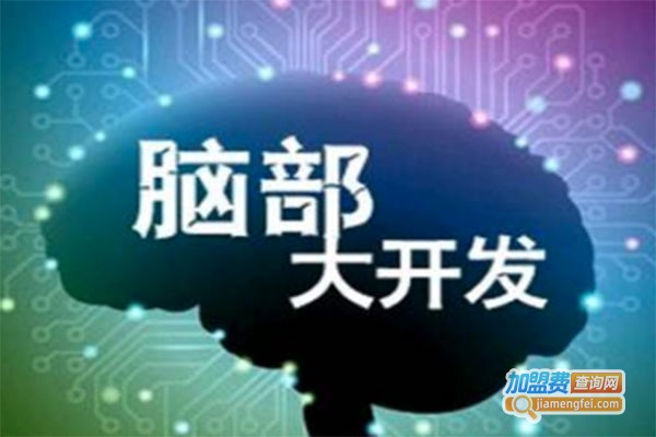 脑倍力全脑开发