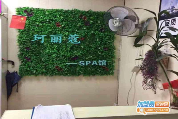 珂丽蔻加盟