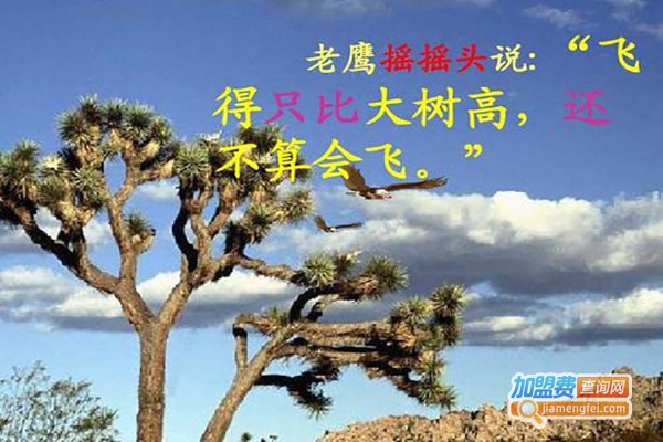 学飞教育