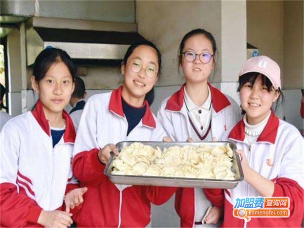 少年之光素质教育加盟费