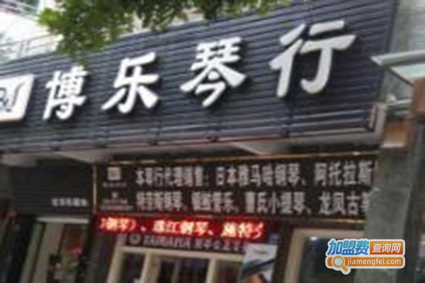 博乐琴行艺术加盟费