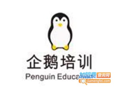 企鹅培训加盟费