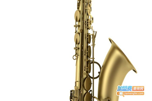 世纪音乐琴行加盟费
