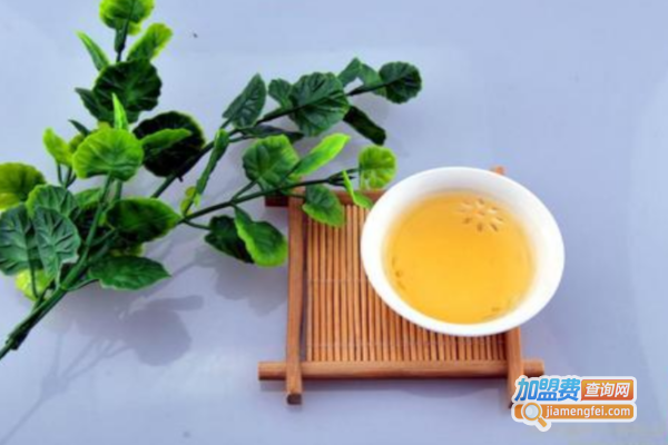 知苦茶加盟费