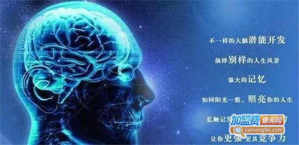 脑力优全脑教育加盟费