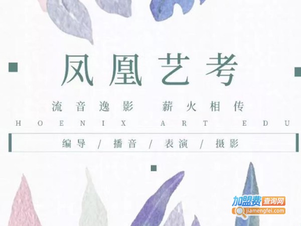 凤凰艺考加盟费