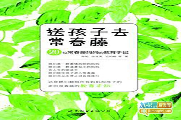 长青藤教育