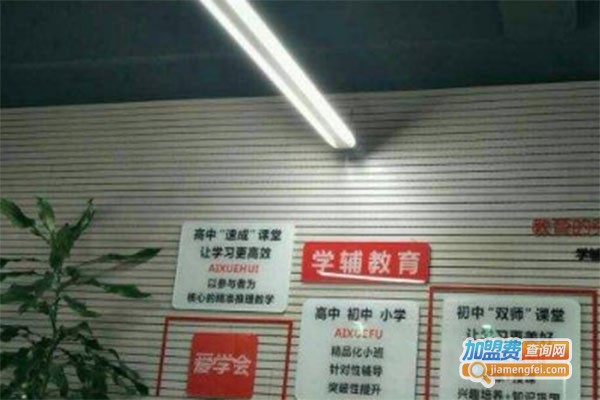 学辅教育